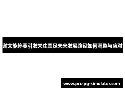 谢文能停赛引发关注国足未来发展路径如何调整与应对