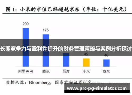 长期竞争力与盈利性提升的财务管理策略与案例分析探讨 长期竞争力与盈利性提升的财务管理策略与案例分析探讨