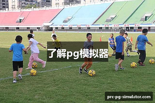 了解pg模拟器